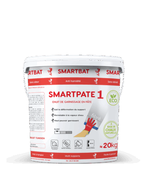 Smartpate 1
